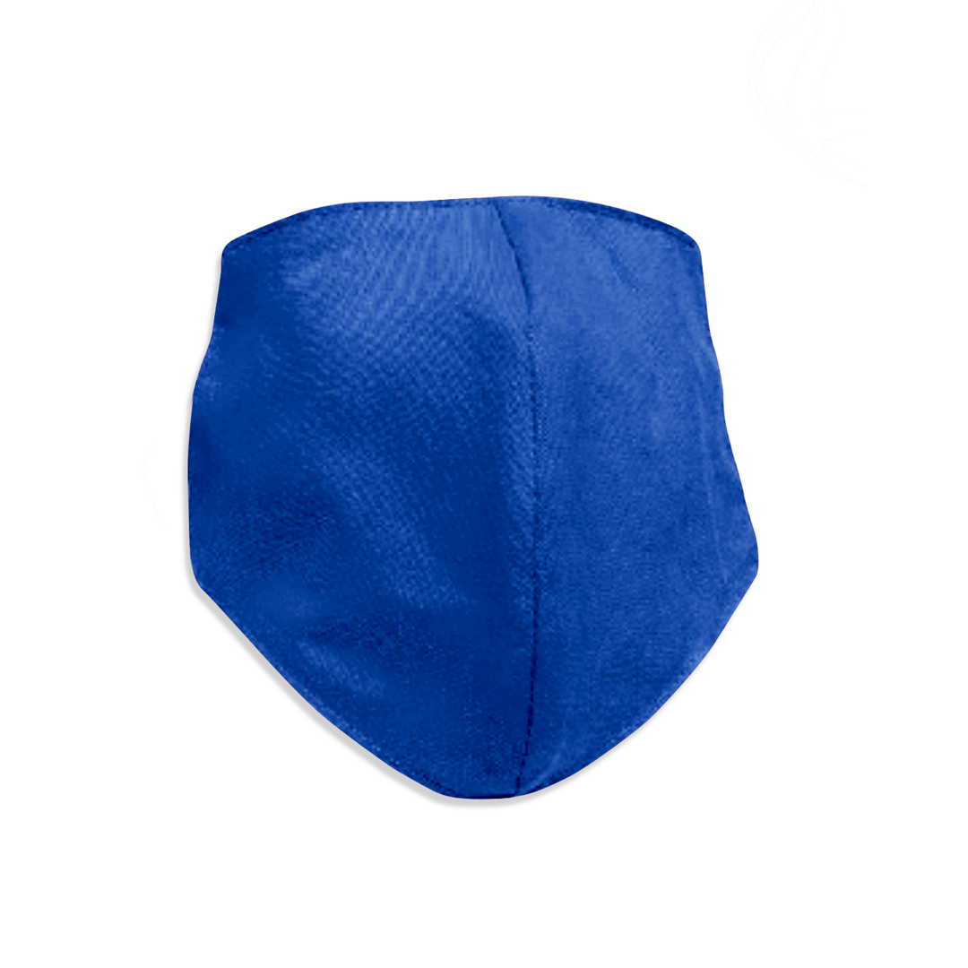 FR DH Face Mask
